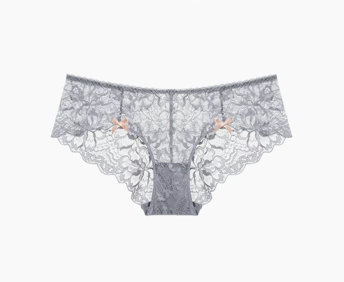 P1274GRY2 Full Lace Brief - Image 1
